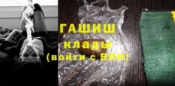 амф Гусев