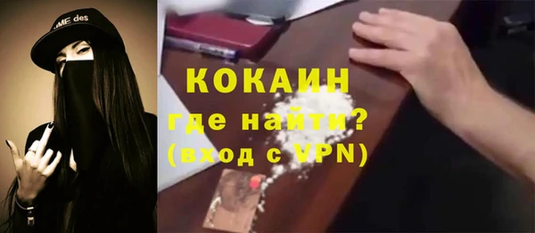 амф Гусев