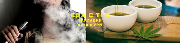 амф Гусев