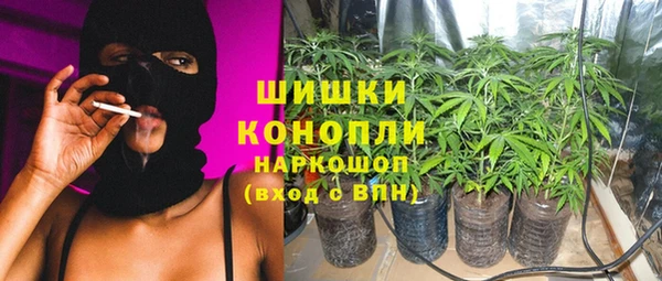 винт Верея